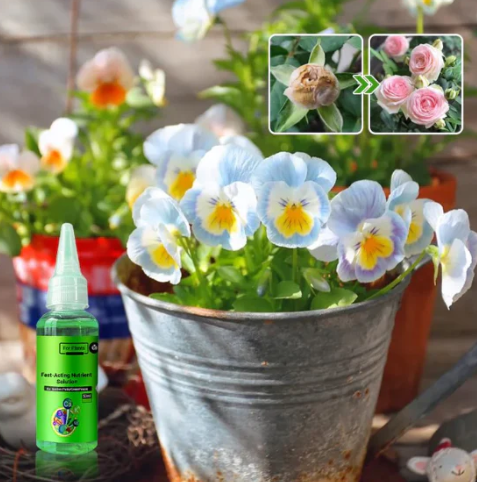 Fast-Acting Nutrient Solution for Plants