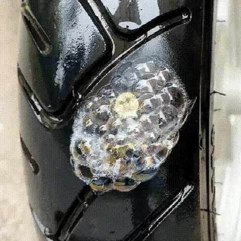 Quick Tire Repair Rubber Nail